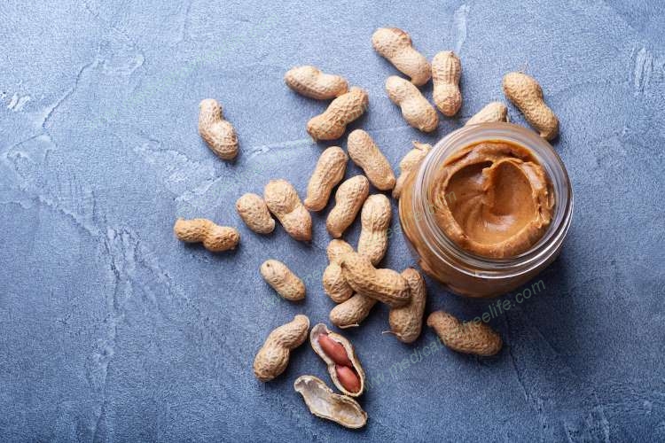 Adding refined fiber to processed food could have negative health effects