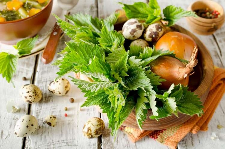 Diets high in fruit vegetables whole grains and nuts among factors to lower first time Stroke Risk