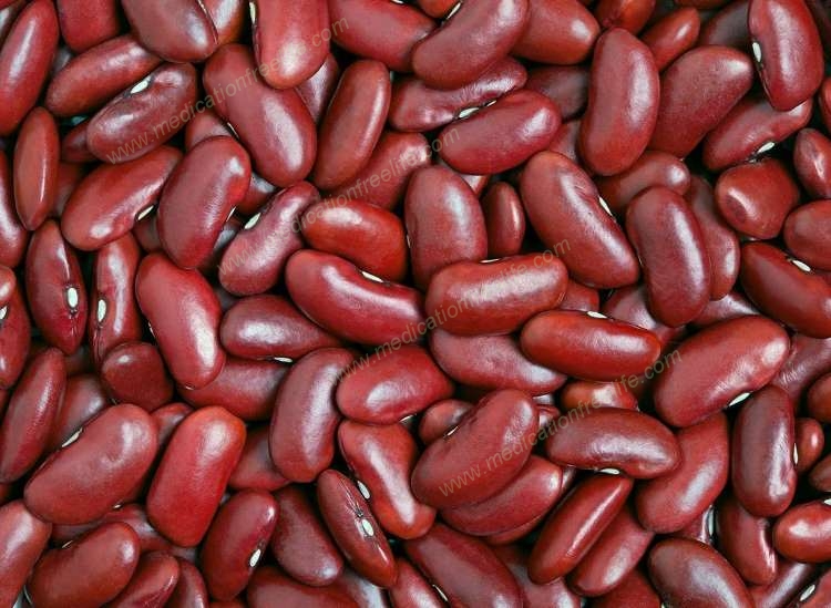 Green Leafy Vegetables may Prevent Liver Steatosis
