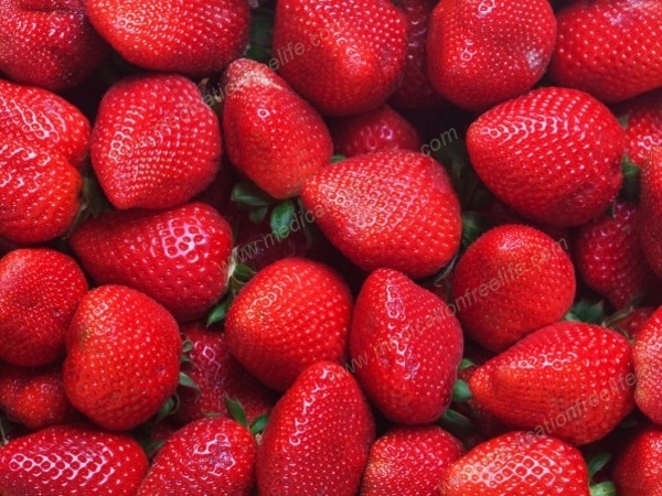 Healthy diets linked to better outcomes in colorectal cancer