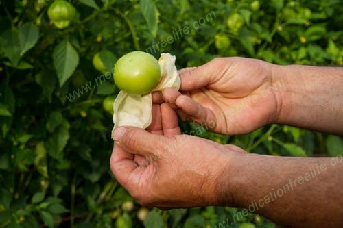 are you physically prepared