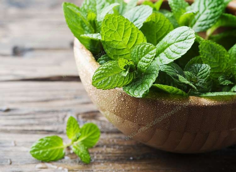 are you physically prepared