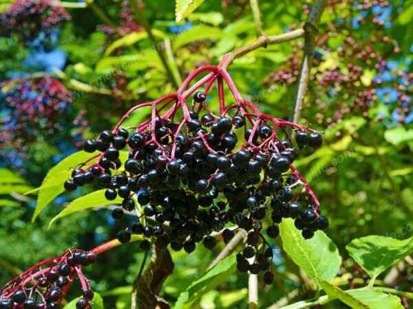 are you physically prepared