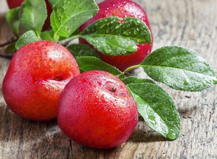 diabetes is curable by comprehensive management