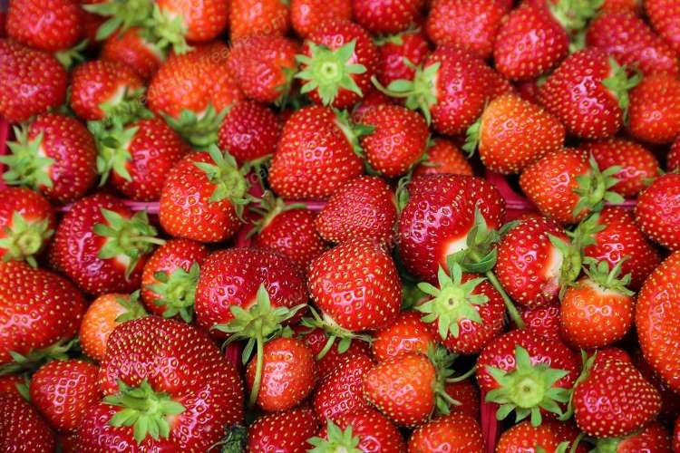 diet to fight corona daringly