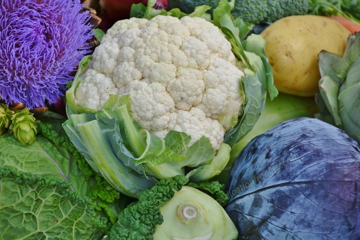 diet to fight corona daringly