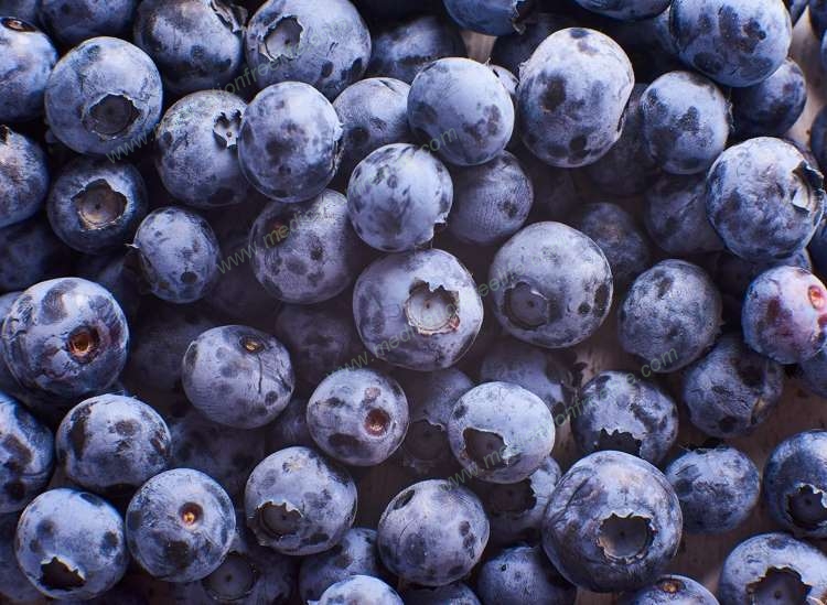 final answer how to achieve health fitness and happiness