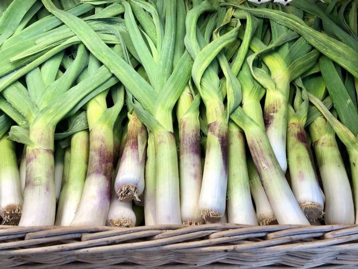 final answer how to achieve health fitness and happiness