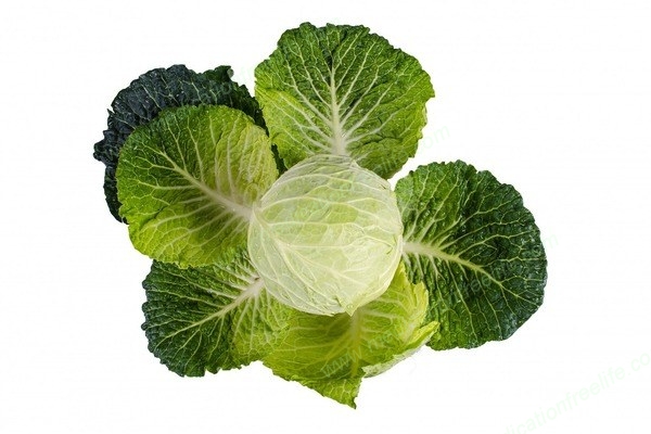 guaranteed and assured cure and treatment of diabetes