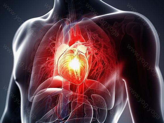 Heart Disease Cure and Treatment in Vidisha Madhya Pradesh