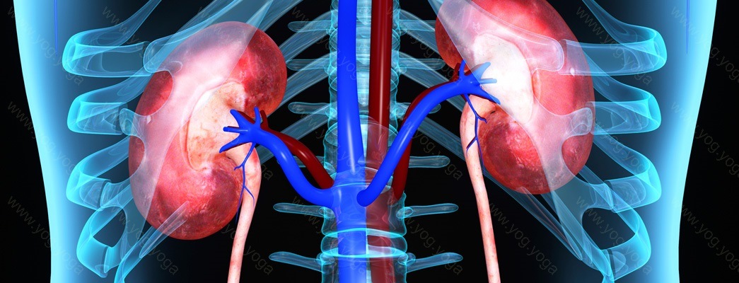 Kidney Disease Cure and Treatment in Ozhukarai Puducherry