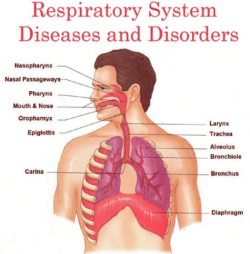 Respiratory Disease Cure and Treatment in Hindaun Rajasthan