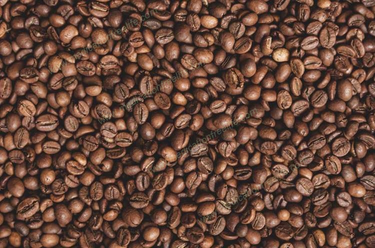 let us crack covid cure code