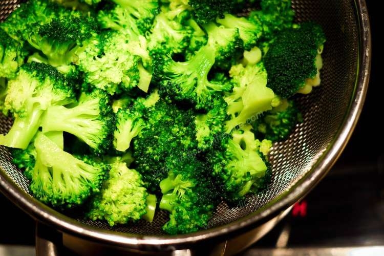 noncarbtarianism aka noncarbotarianism aka noncarbitarianism aka noncarbloading and noncarbtarian aka noncarbotarian aka noncarbitarian aka noncarbloader