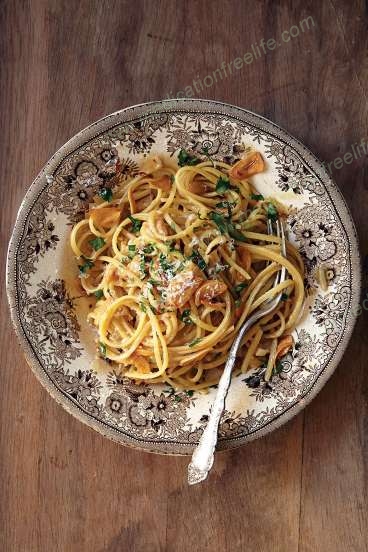 noncarbtarianism aka noncarbotarianism aka noncarbitarianism aka noncarbloading and noncarbtarian aka noncarbotarian aka noncarbitarian aka noncarbloader