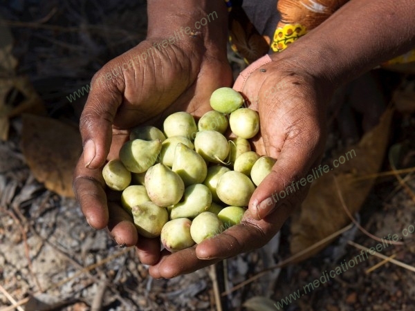 noncarbtarianism aka noncarbotarianism aka noncarbitarianism aka noncarbloading and noncarbtarian aka noncarbotarian aka noncarbitarian aka noncarbloader