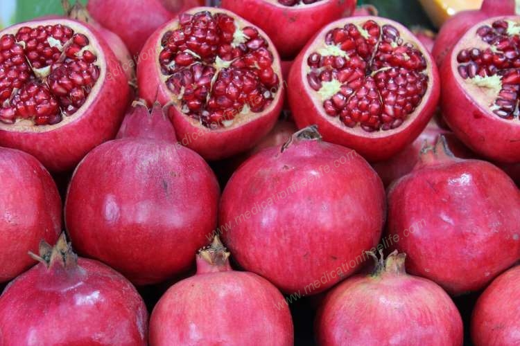 sure shot cure and treatment of obesity