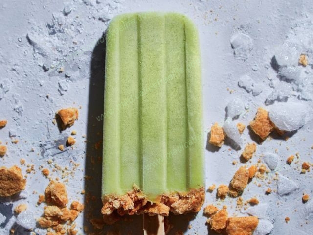 sure shot cure and treatment of obesity