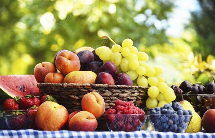 sure shot cure and treatment of obesity