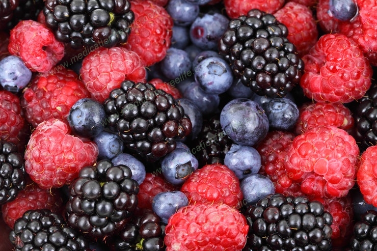 sure shot cure and treatment of obesity