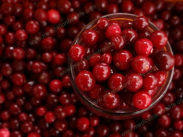 sure shot cure and treatment of obesity