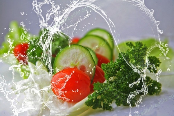 sure shot cure and treatment of obesity