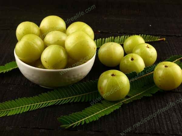sure shot cure and treatment of obesity